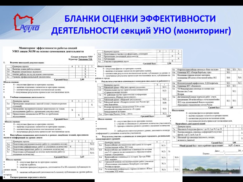 БЛАНКИ ОЦЕНКИ ЭФФЕКТИВНОСТИ   ДЕЯТЕЛЬНОСТИ секций УНО (мониторинг)